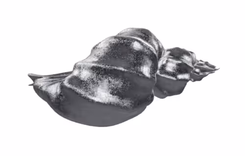 Item #101986064897505636192511017458813156695915810452106734016551982848479619710977 Media