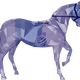 14195703436646468745199728662041842185351146069971577628603613871135040471041