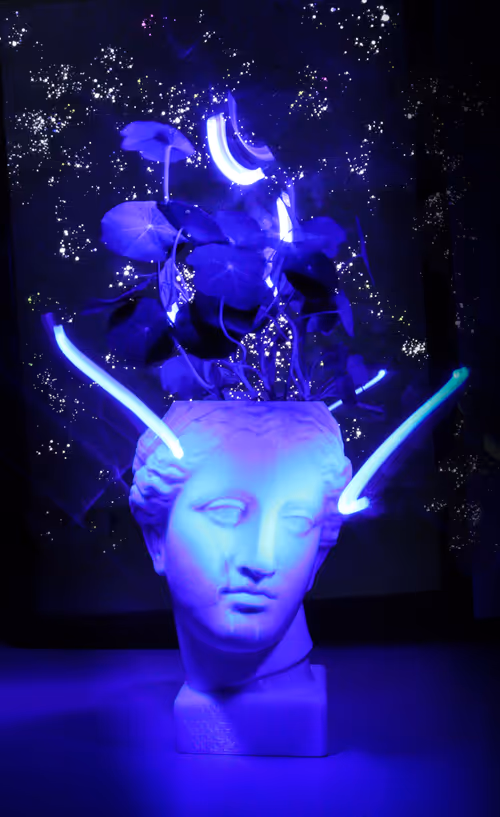 Item #46267743495132859547511032037696953227726596585589071183384475939641575342081 Media