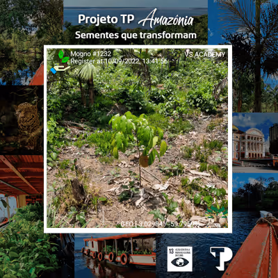 Item #8500196597889277390194123329501889087166328879864934763448348953458686033921 Media