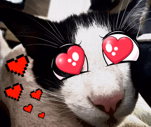 Item #102990755133681336973323726902387438189874559579215809482716478157941507096586 Media