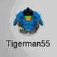 69215700968313290749725567271254631977378725502334730677733929028453004214273