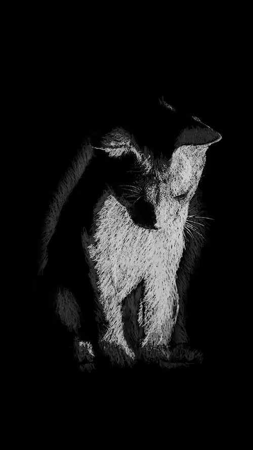 Item #20286817641922993541065929101952433978531825078991625494647867593197868810241 Media