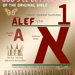 Letter-Alef T3 #67/111 Royal Butterfly Blessed Burgundy