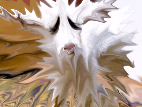 Item #52798123301911075040372010933461507908474232944921260300493077238714369835058 Media