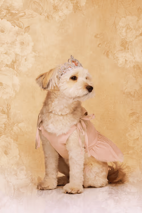 Item #8036610274517614856282005705215780499318604713549687172679363398319390851075 Media