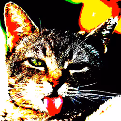 23538819986925566434507765811444276093104658907602947149672917167885579714561