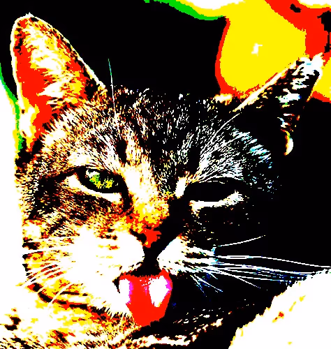 23538819986925566434507765811444276093104658907602947149672917167885579714561