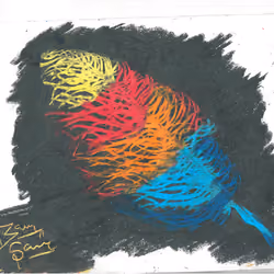 A Feather