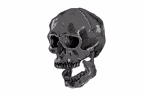 Item #30208536907841222554238285863228669239836651640701938690802722948232740077569 Media