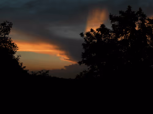 Item #55297223282317197917185791022658401724226762533250968792427961309134164328449 Media