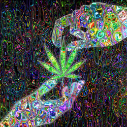 Give the leaf