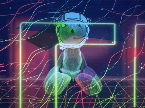 Item #92720648651739117172992982395348025775239085941881126057360994580762676166661 Media