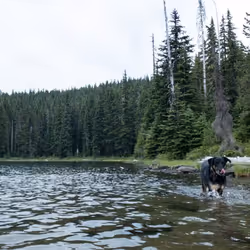 2005862319158051831365229387864138466486092287762213337058068742818771238913