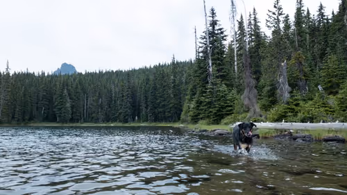 Item #2005862319158051831365229387864138466486092287762213337058068742818771238913 Media