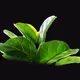 78829850535082143124123311232029389112498038053842646497571991243893961129985