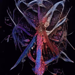 93923887731966639760197662534300547726212510779526051617655967339303401422849