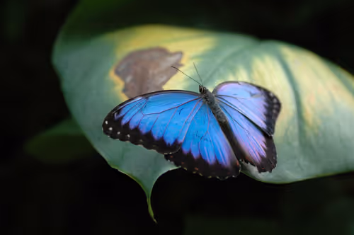 Item #16169064393399629467859942900905405490006492366557123064973208586720930430977 Media