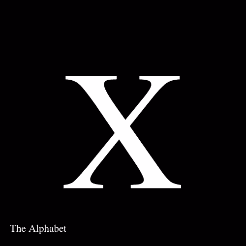 Item #15667918565991512040027370799027687282016869594247132407079641296981800779786 Media