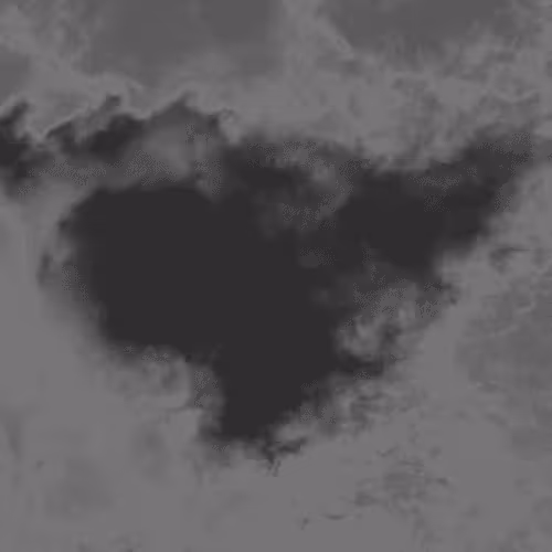 Untitled Collection #50003873