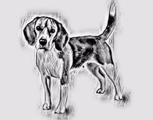 Item #23143313246472061328071561115701105421589606567298838424350448148937569206273 Media