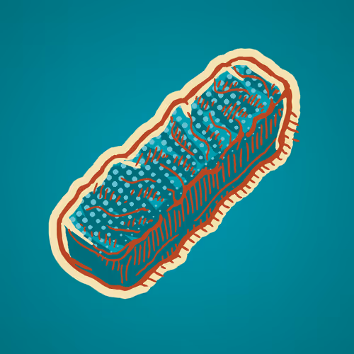 Item #72408727223965054809316713602701550446210003963272988530009451088713900621825 Media