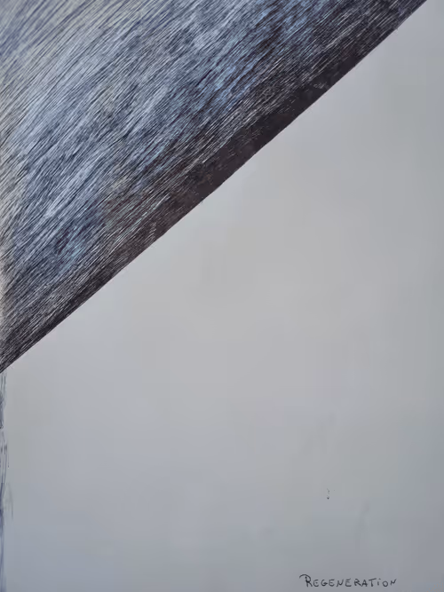 Item #45278990435645176089503010646081690826128178264651449989880763829440116424705 Media