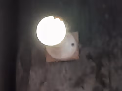 Untitled Collection #198614148