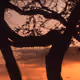 11080880263019118406145219759000160368271712124928654293989732469809560420353