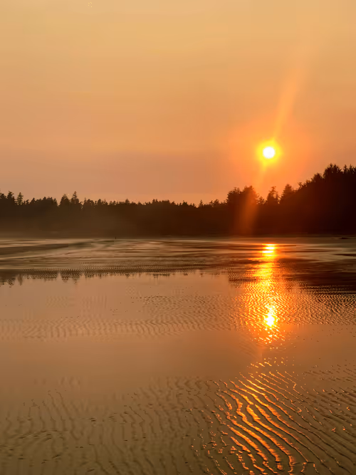 Item #93733275809308755757503475852575142382526812596278702282935670394401343930369 Media