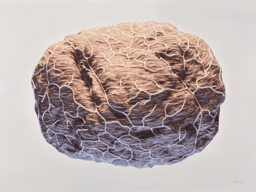 Item #27368314961787649064221585856198725372967139003119485785305163664604880961541 Media