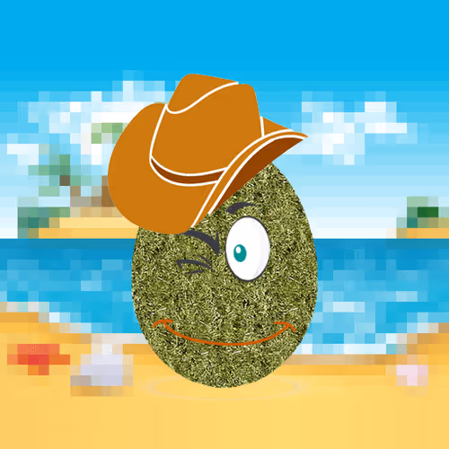 Item #85932088355096067764028340843949735086378517007207995669127692814058063396865 Media