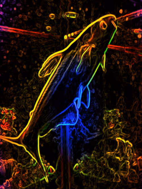 Item #61399169611819808431196966000866205980979070133838770052243821740398691221505 Media