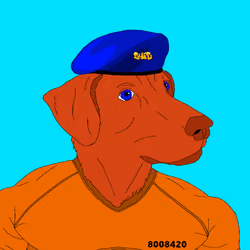 48668930932293412989161743222089303844917080973398542581303770113035829510145