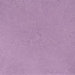 50684197605774142208935566748693813750684281578315025193761267598048511393793
