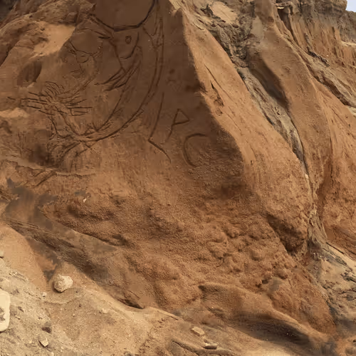 Untitled Collection #85234413