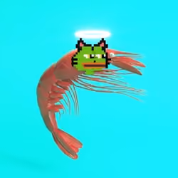 Moist Halo Shrimp 