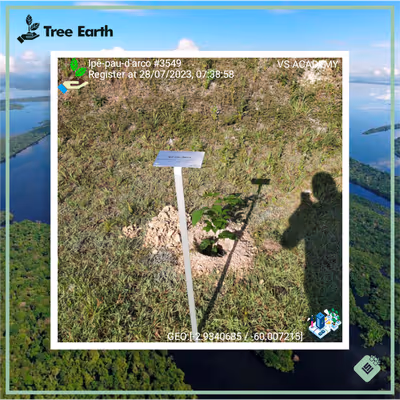 Item #8500196597889277390194123329501889087166328879864934763448349413054546444289 Media