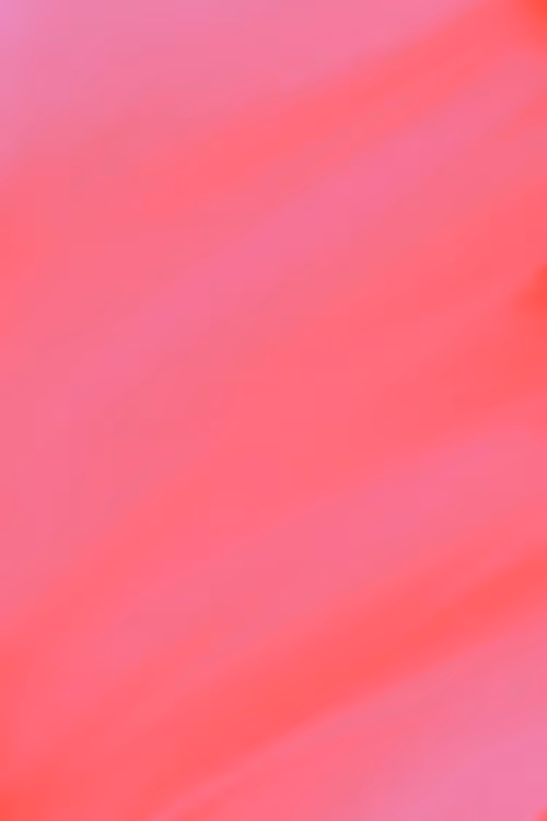 Item #42823826859152122260103923314666738988796597963676288353377546921461942321153 Media