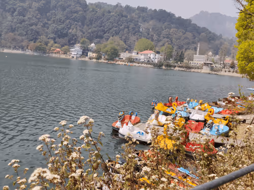 Item #28492546344238997982627040595659913257173957231691920694804582506873130844161 Media