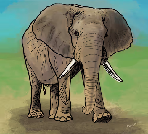 Item #51464101640567295750175716145690214715071691539704877762689940193288522825729 Media