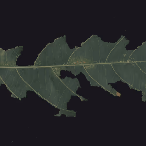 Item #2468510768883505023825324498411801330130038218173211600124010430096847405057 Media