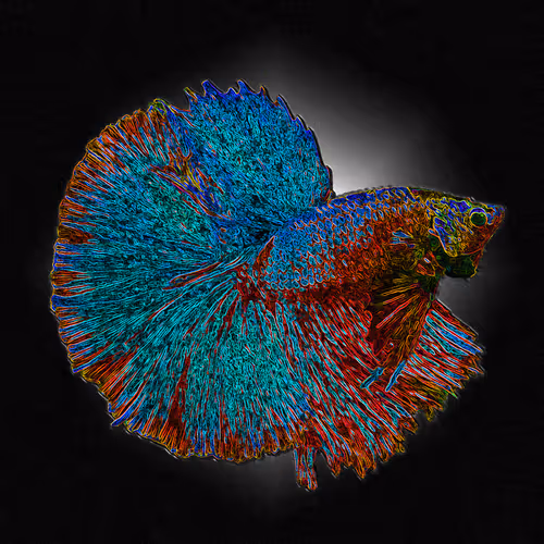 Item #73423654428024661336379470947819889295714855264791127270755008432484586094612 Media