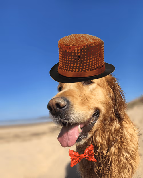 Item #26839399415497039076862880694069072006331525189107682525417321755497784672257 Media