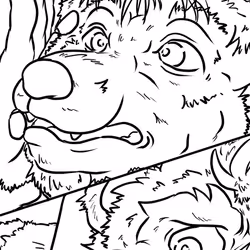 88047277089427635657081635585532914949557992380650193262688159124732346630154