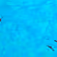 90202358499114476672208303453331118422763954486196048183723504051670157885441