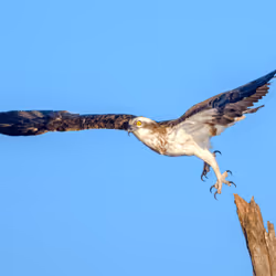 61684684013370051227163866082320023750896296023852719411798081129220963041330