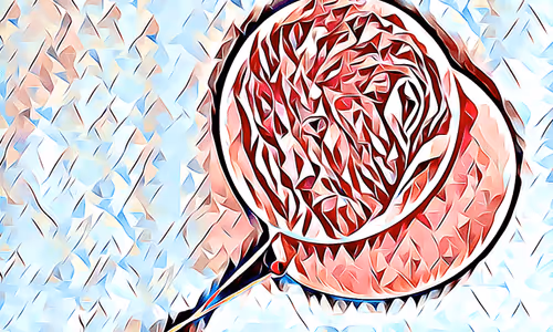 Item #115439723416713738972193374582482205486227111608136810149026582141369510264833 Media