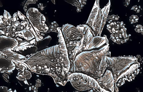 Item #7995611344247337094109922960175663296053708929602191470286983635700782465025 Media