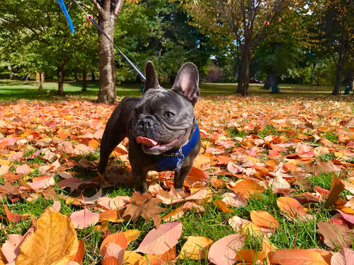 Item #99031261785432219130552668818269695456905868997165113515571762505068696305665 Media